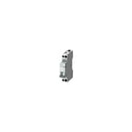 Disjoncteur automatique 1P+N 1 Module 6A Siemens 5SL30067