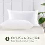 LilySilk 100% Pure Mulberry Silk Pillowcase Cover for Hair with Cotton Undersid