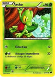 Carte Pokémon Arcko 60 Pv 6/116 Glaciation Plasma Neuf Fr