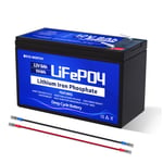 ECO-WORTHY Batterie Lithium Lifepo4 8AH 30AH 50AH 100AH 150AH 280AH 12V