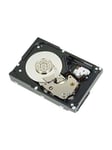 Dell - hard drive - 1 TB - SAS 12Gb/s - Harddisk - 400-ALQZ