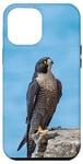 iPhone 15 Pro Max Peregrine Falcon Case