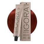 Schwarzkopf Igora Royal Absolutes 6-80 BNatural Red Dark Blonde 60ml