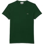 T-shirt Lacoste  Regular Fit T-Shirt - Vert