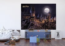 AG Design AFTDXL 1974 Harry Potter Papier peint photo pour chambre d'enfant de 252 x 182 cm | 4 pièces