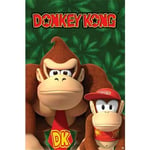 Nintendo - Donkey Kong & Diddy Kong - Poster 61 X 92cm