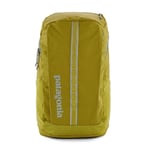 Patagonia Patagonia Black Hole Pack 25l - Shrub Green - Unisex - OneSize- Naturkompaniet