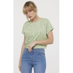 T-shirt Lee Cooper  T-shirt AFAMA Matcha