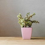 Holden Caldera Plain Rose Gold Metallic Weave Dots Textured Wallpaper 22291