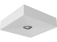 Awex Emergency Luminaire Lv3n Ip20 Led 1W (Opt. Road) 1H Single-Purpose White Lv3n/R/1W/B/1/Se/X/Wh