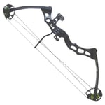 Poe Lang Predator III Compound 21-31" 35-65LBS