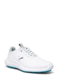 PUMA Golf Ignite Pro Wmns Vit