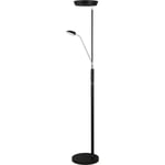 Halo Design Vegas Uplight gulvlampe, svart