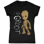 Guardians Of The Galaxy 2 - T-Shirt Am Groot - Femme