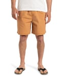 Quiksilver Short Taxer WS Homme Marron M