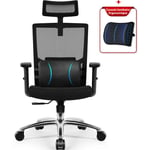 Lexzurn - Chaise Gaming Charge 150kg Fauteuil de Bureau Ergonomique Chaise Gamer Inclinable Accoudoirs Pliable