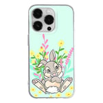 ERT GROUP Coque de téléphone Portable pour Iphone 14 Pro Original et sous Licence Officielle Disney Motif Thumper 004 Parfaitement adapté à la Forme du téléphone Portable, Coque en TPU