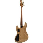 V10 Dx Swamp Ash-4 Fl Nt Mn + Étui