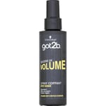 Spray coiffant Masse de volume effet bombé - Got2b