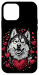 Coque pour iPhone 12 mini Coeurs de chien Alaskan Malamute pour la Saint-Valentin