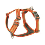 Dog Copenhagen Comfort Walk Air Harness 3.0 - Orange Sun XL