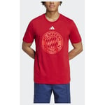 adidas Fc Bayern Dna Graphic T-shirt, storlek Small