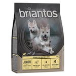 Briantos Grain Free Junior Kyckling & potatis - 1 kg