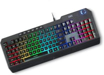 Wasp+ Clavier Gamer RGB Rétro-Éclairé pour PC,104 Boutons avec 26-Key Technologie Anti-Ghosting,Clavier USB Filaire et Ergonomique (QWERTY US-International)