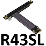 40cm R43SL(POWER CABLE) Convertisseur M2 NGFF NVMe vers carte graphique PCIE x16, adaptateur intégré, extension M.2 mkey, câble plat Flexible pci-e 16x Nipseyteko