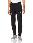 PUMA Neymar JR Evostripe Pant