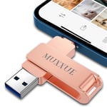 Cle USB iPhone 128Go¿3 en 1 Clé USB iPhone,USB 3.0 Cle USB pour iPhone,iPad,Tablette/PC/Android/iOS/Type C