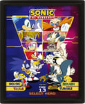 Pan Vision Sonic the Hedgehog 3D-poster (Fighter)