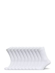 Bo.10P Crew Sock White Frank Dandy