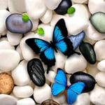 LUOYCXI DIY digital painting adult kit canvas painting bedroom living room decoration painting pebbles butterfly-50X50CM