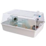 FERPLAST MINI DUNA HAMSTER Cage pour Rongeurs pour Hamsters, Souris, en Plastique, Accessoires inclus : Mangeoire, Abreuvoir, Étagère, Maison, Échelle, Roue. 55x39xh27cm