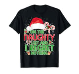 Funny On The List Of Naughty And I Regret Nothing Christmas T-Shirt