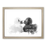 Rubber Ducks Opposites Attract V4 Modern Framed Wall Art Print, Ready to Hang Picture for Living Room Bedroom Home Office Décor, Oak A4 (34 x 25 cm)