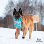 Doggie-Zen Doggie-Zen Langhåret Elastisk Belønningsleke i Fuskepels - XL