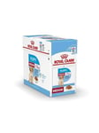 Royal Canin Medium Puppy (in gravy) 10x 140g