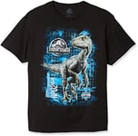 Jurassic World Boys 2 Blue Raptor Grid Short Sleeve T-Shirt, Black, M