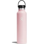 HYDROFLASK 24 Oz Standard Flex Cap Rose Unique 2024