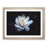 Blue Magnolia Flower Paint Splash Modern Art Framed Wall Art Print, Ready to Hang Picture for Living Room Bedroom Home Office Décor, Oak A2 (64 x 46 cm)