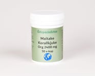 Örtspecialisten Maitake Bio 2400mg 50vk