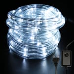 Tube Lumineux Extérieur led Guirlande Lumineuse Décoration avec 960 Lampes et Adapteur d'alimentation Blanc froid 40M - Tolletour