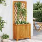 Design In - Jardinière Pot de Fleurs avec treillis 55x29,5x132 cm bois massif d'acacia CFW20405