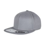 Flexfit 110 Fitted Snapback - keps - Grey - One Size