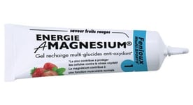 Gel energetique fenioux multi sports amagnesium energie antioxydant fruits rouges 35 g