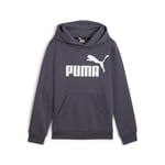 Puma Boys Essentials Big Logo Hoodie - Grey - Size 13-14Y