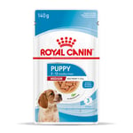 Royal Canin Medium Puppy i saus - 10 x 140 g Puppy