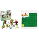 LEGO DUPLO Wild Animals of the World Toy with 22 Animal Figures, Sounds and World Map Playmat & 10980 DUPLO Green Building Base Plate, Construction Toy for Toddlers and Kids, Build and Display Board